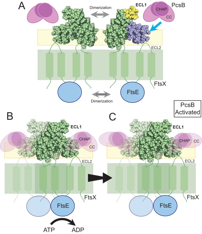 FIG 5