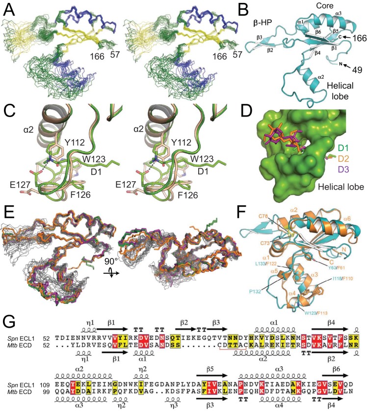 FIG 1