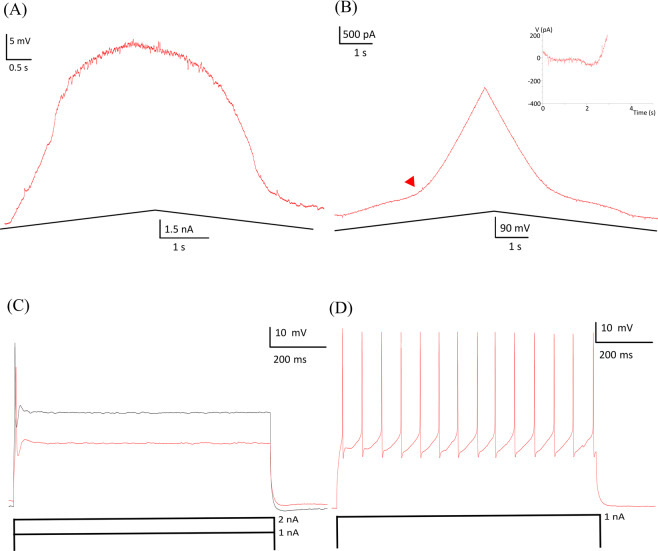 Figure 5