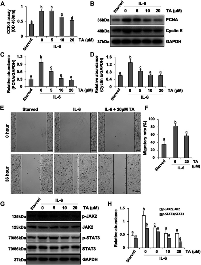 FIGURE 6