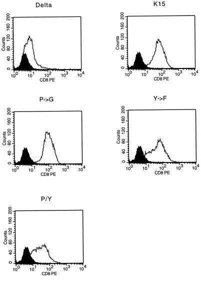 FIG. 7