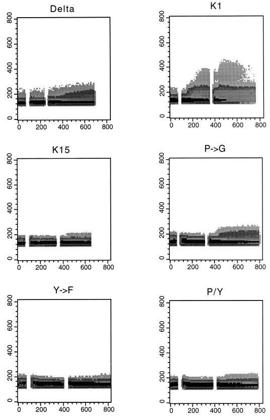 FIG. 10