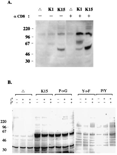 FIG. 9