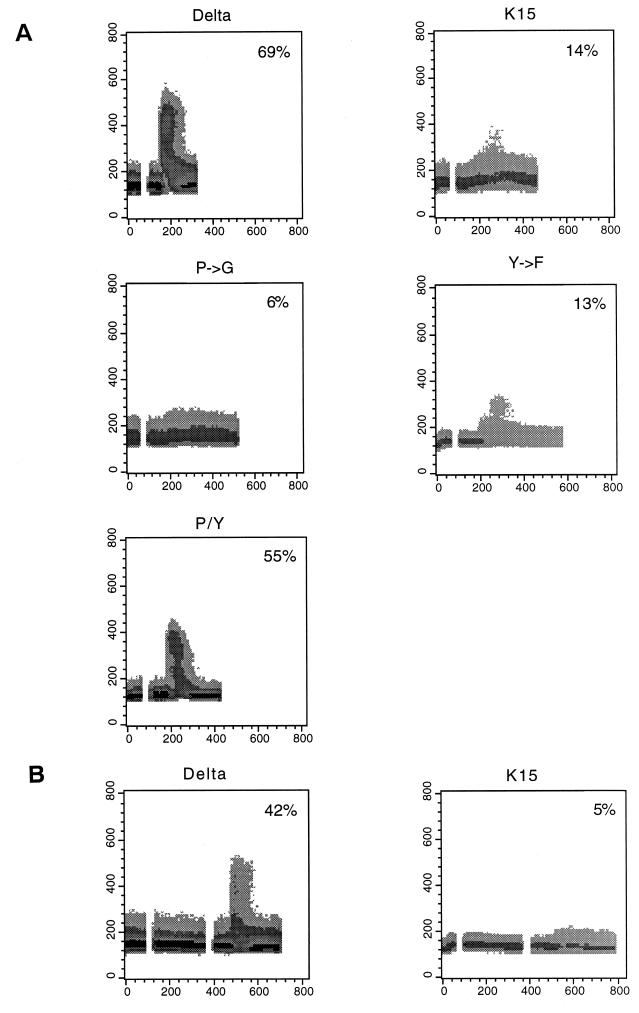 FIG. 12