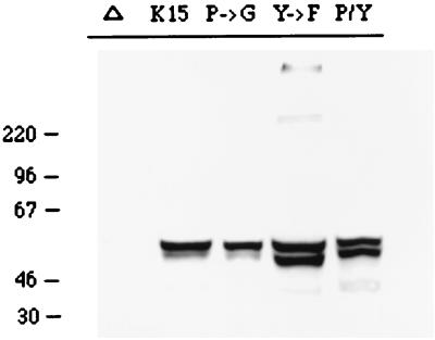 FIG. 8