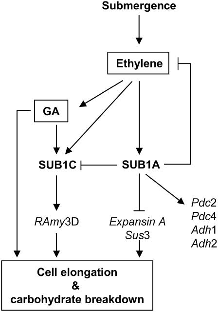 Figure 8.