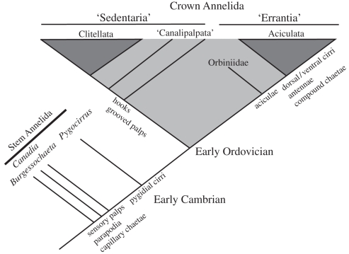 Figure 2.