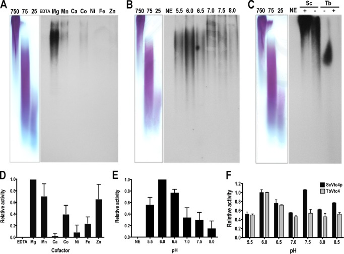 FIGURE 3.