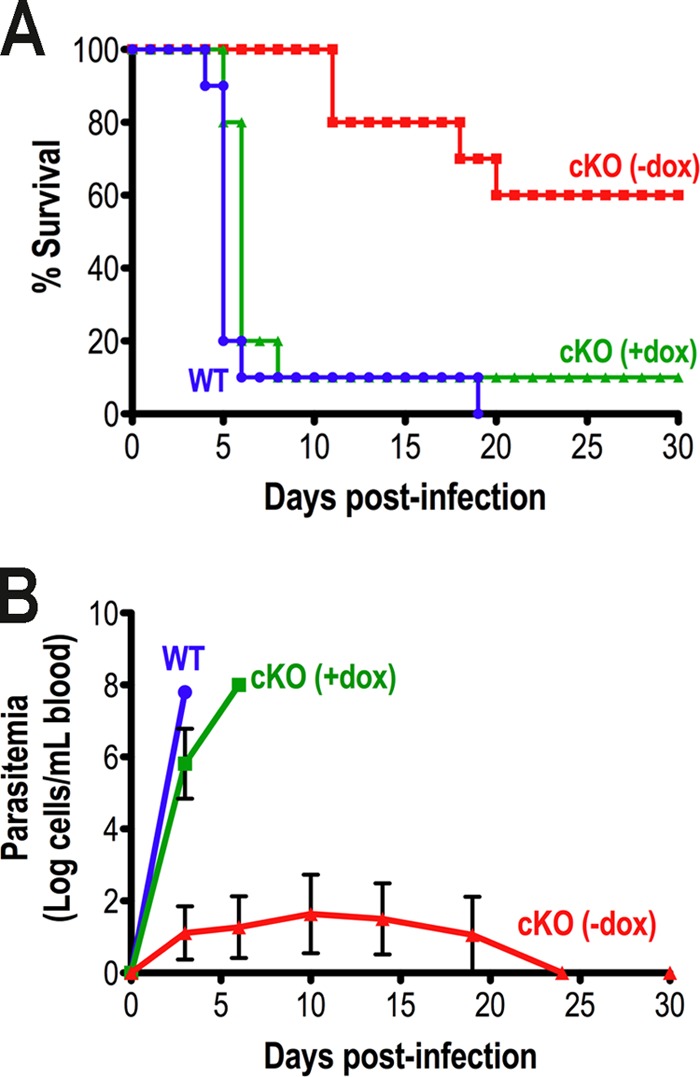 FIGURE 7.