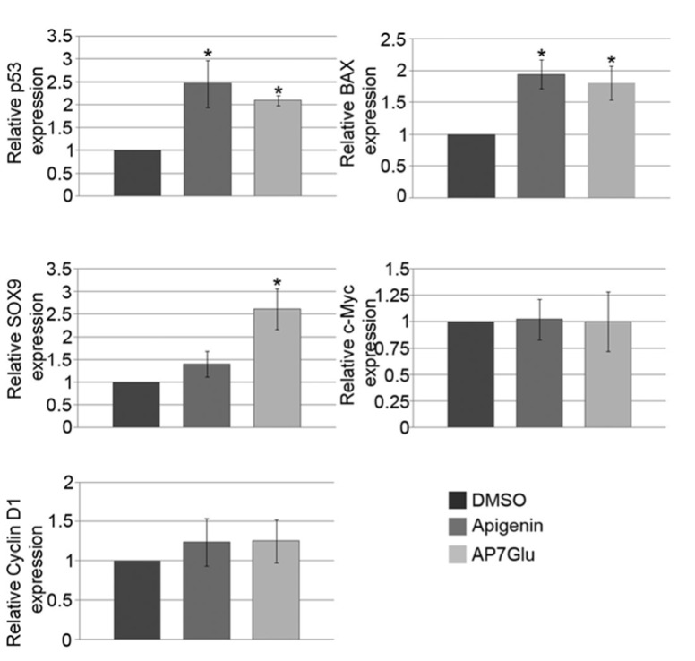 Figure 5