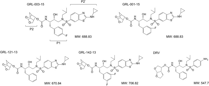 FIG 1