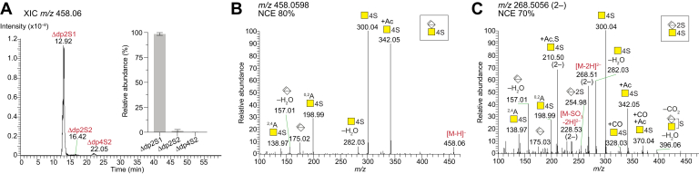 Fig. 2