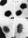 FIG. 8