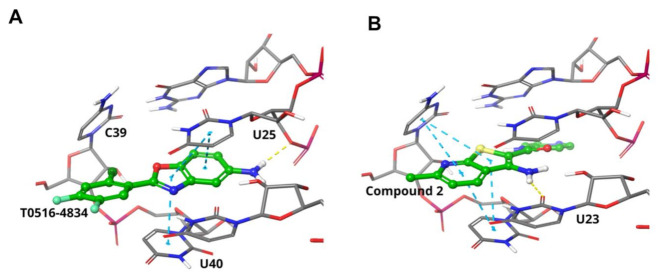 Figure 6