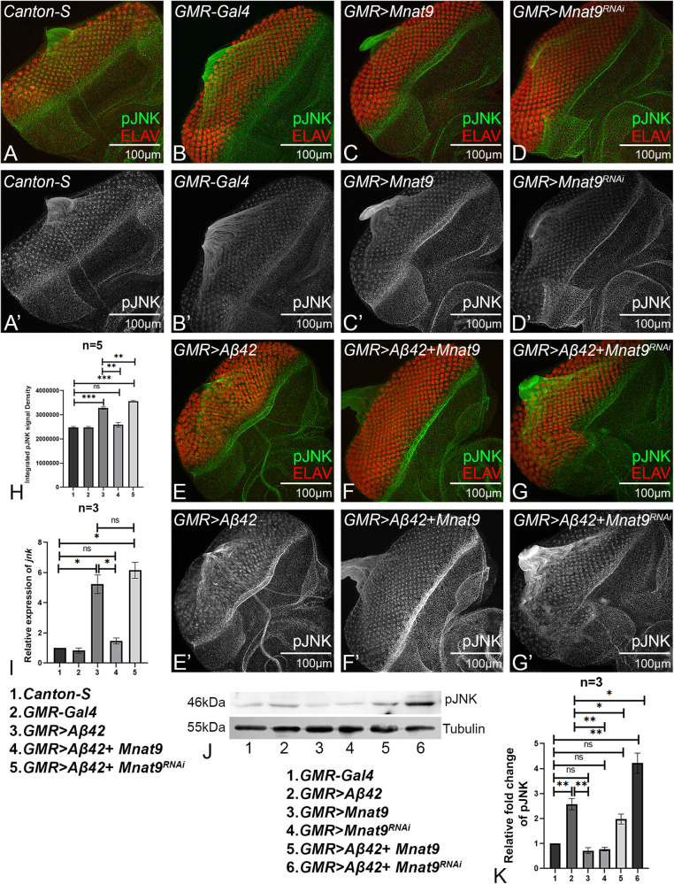 Fig. 9