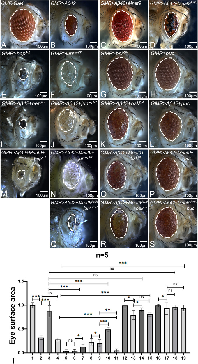 Fig. 10
