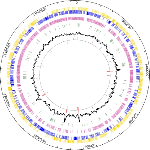 FIG. 1.