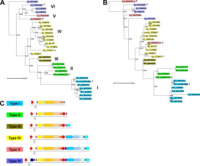 Fig 6