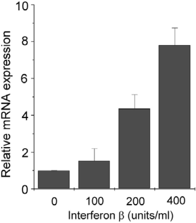 Fig. 3.