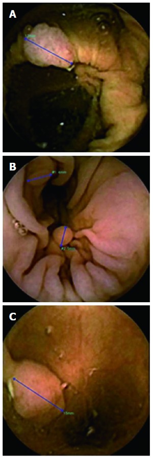 Figure 6