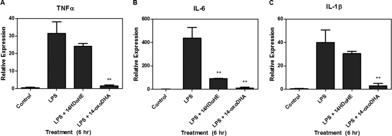 FIGURE 9.