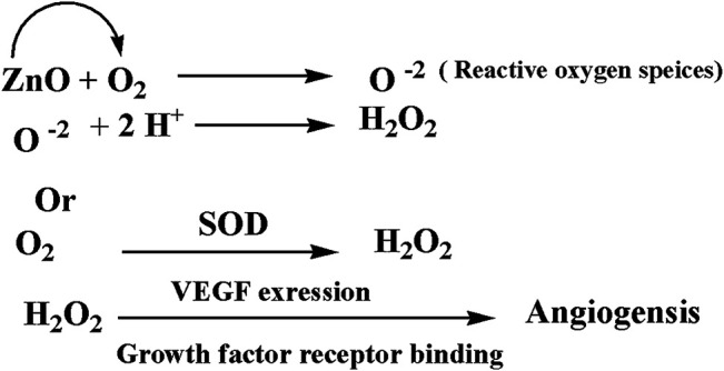 FIGURE 15