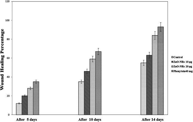 FIGURE 12