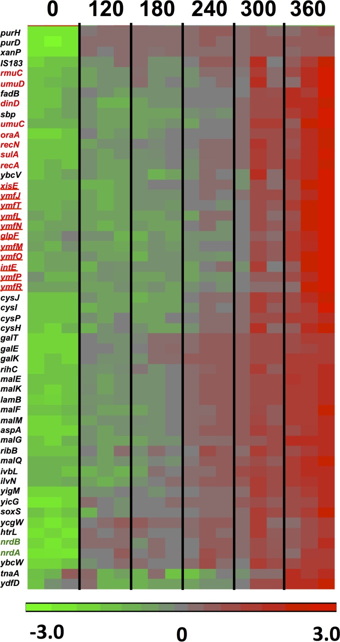 FIG 6