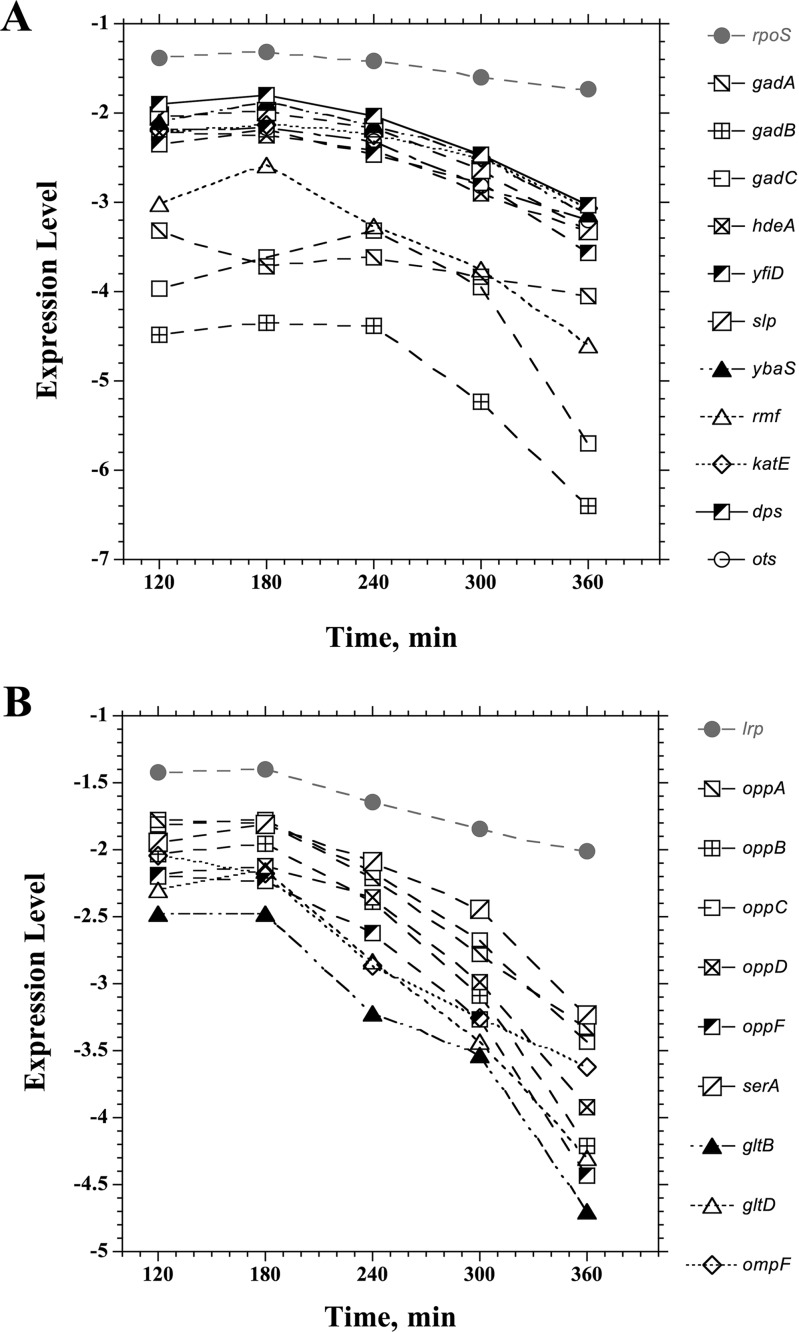 FIG 8