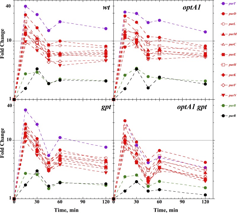 FIG 2