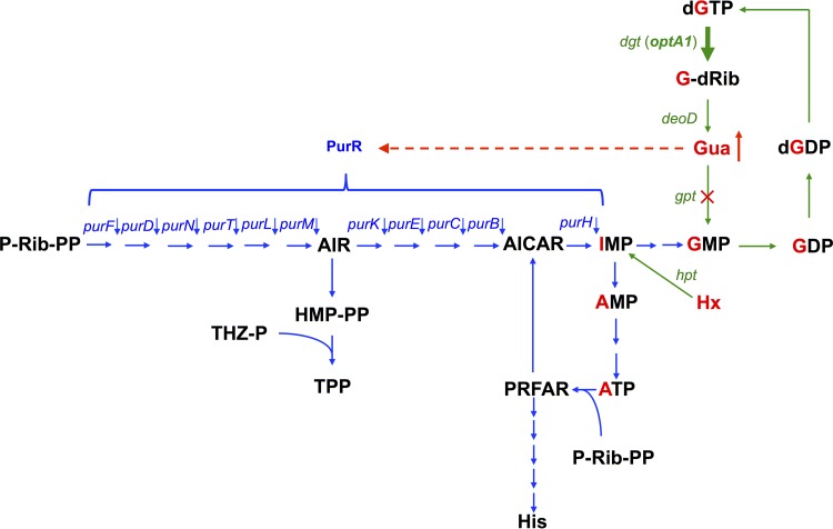 FIG 4