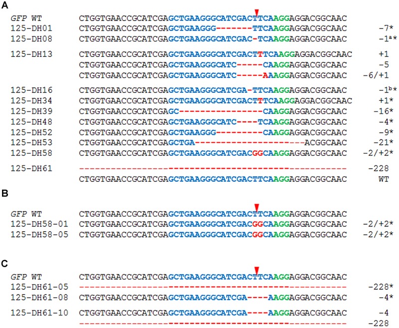 FIGURE 4