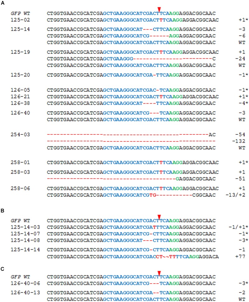 FIGURE 3