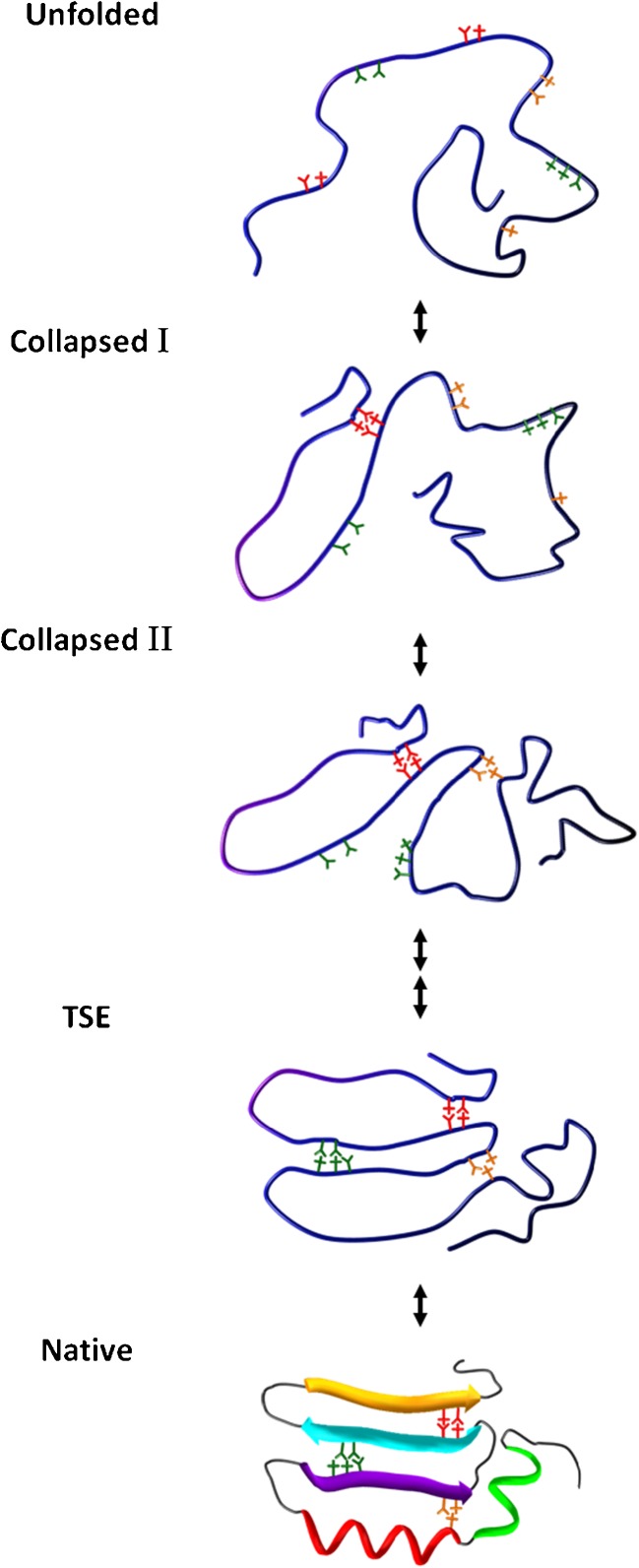 Fig. 2