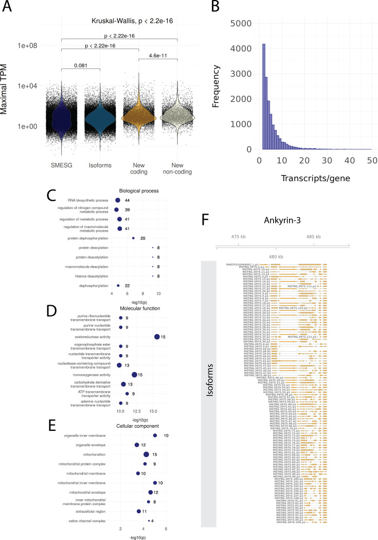 Figure 1—figure supplement 1.