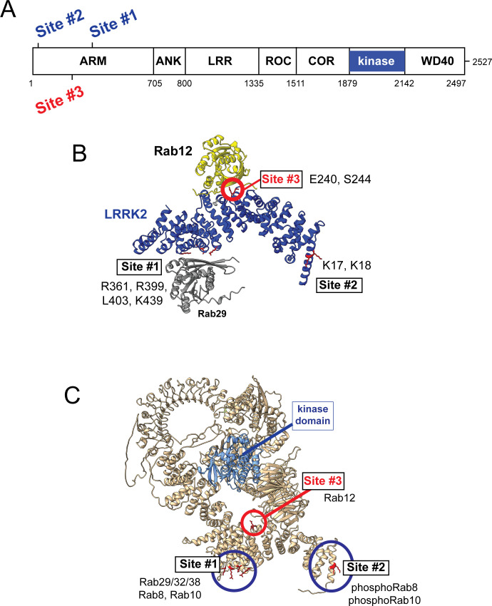 Figure 6.