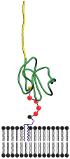 Fig. 1.