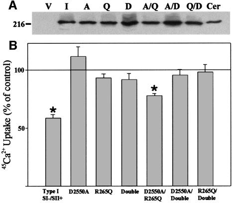 graphic file with name cdd521f6.jpg