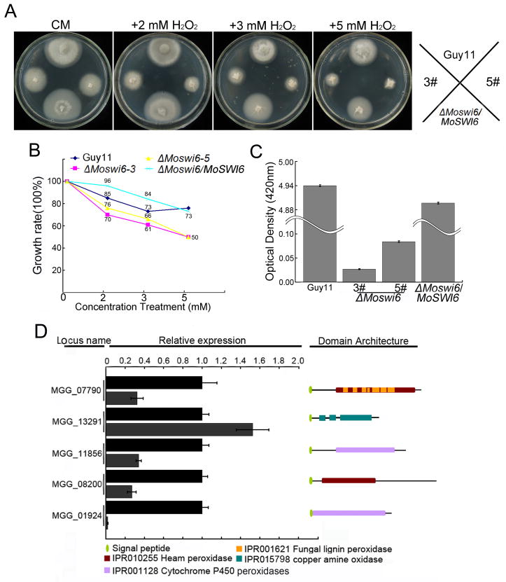 Fig. 7