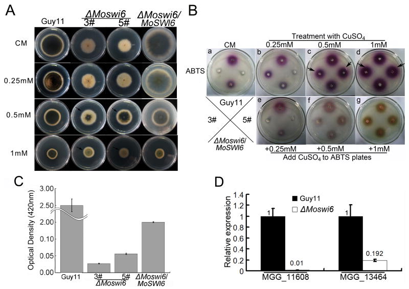 Fig. 4