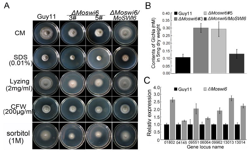 Fig. 3