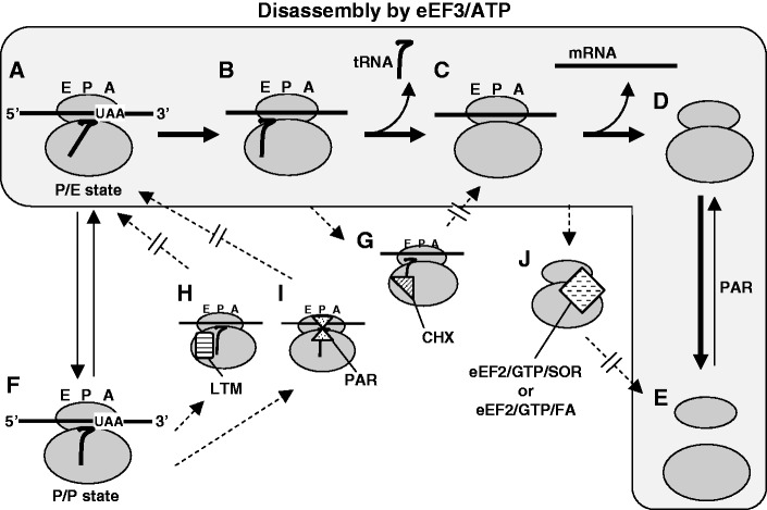 Figure 9.