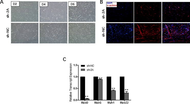 Fig 4