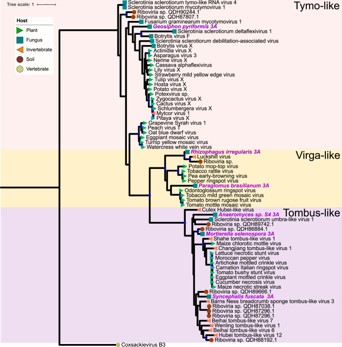 FIG 6