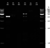 FIG 2