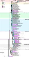 FIG 7