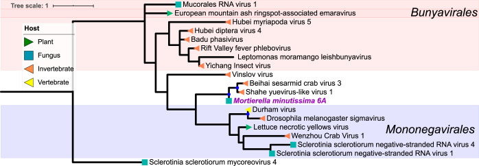 FIG 8