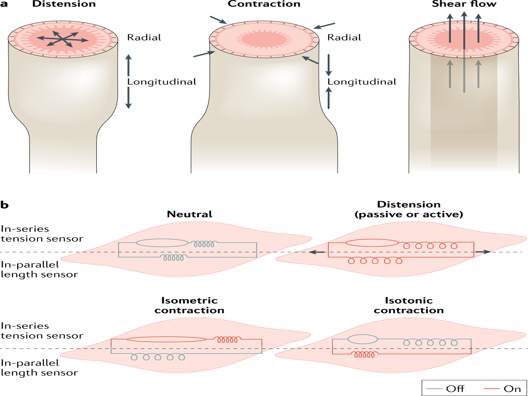 Fig. 2 |