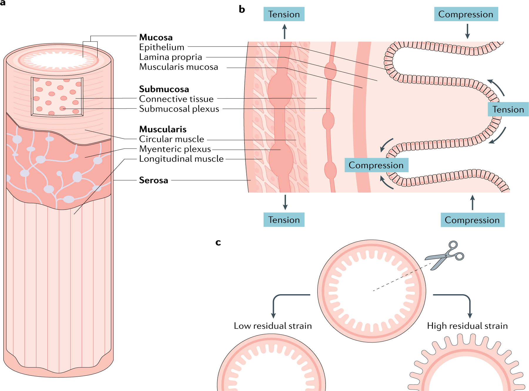 Fig. 1 |