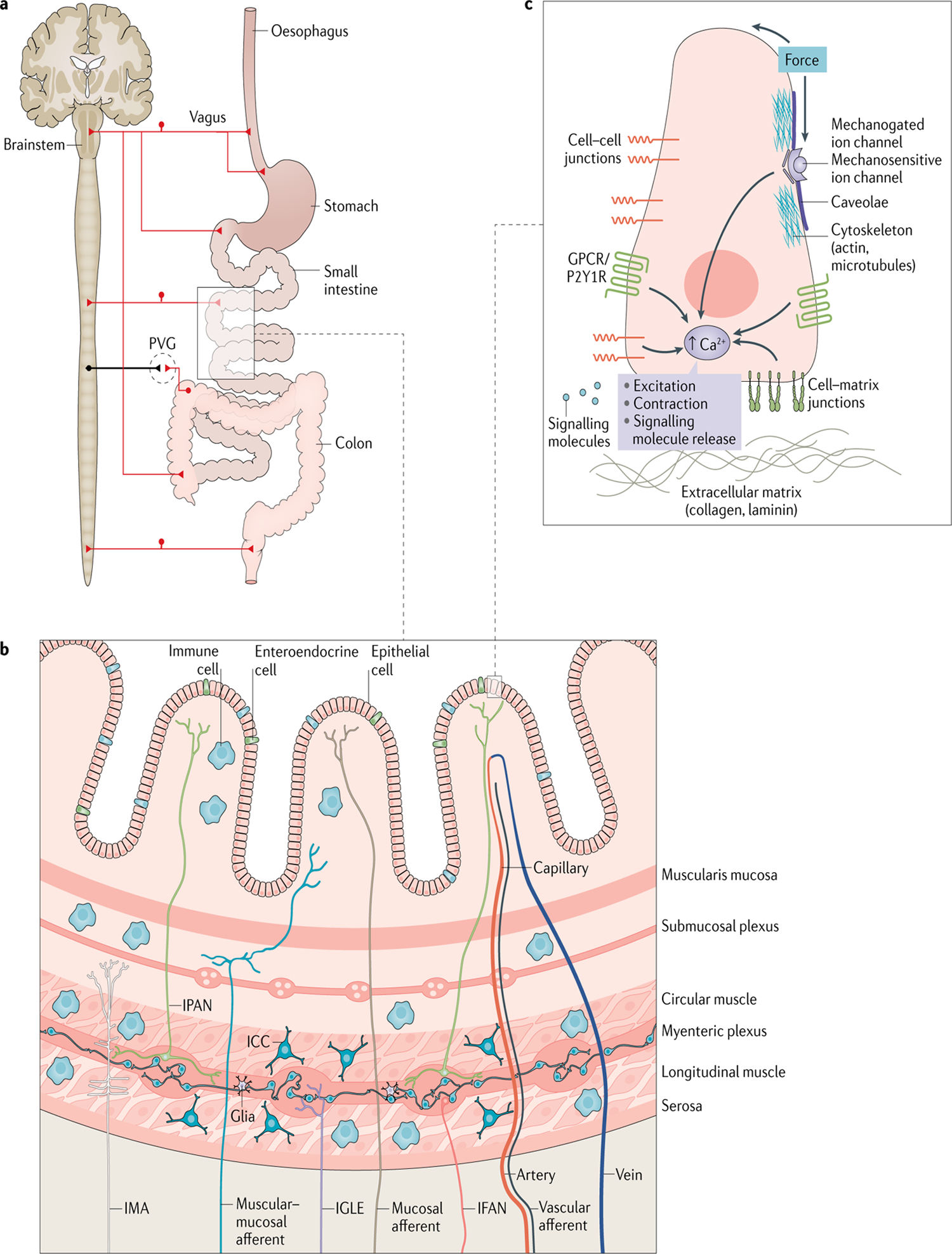 Fig. 3 |